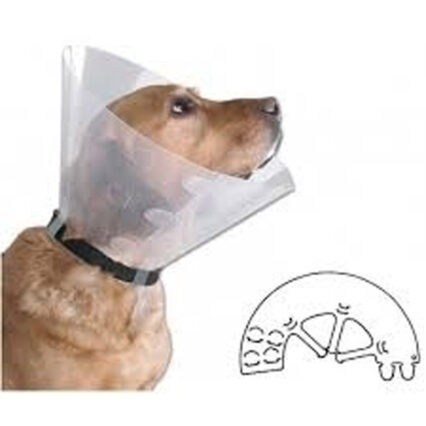 COLIER PROTECTIE BUSTER NR.5 (20 CM)