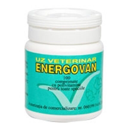 ENERGOVAN 100CP