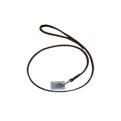 LESA PENTRU CAINI BROWN NR.3 15MM