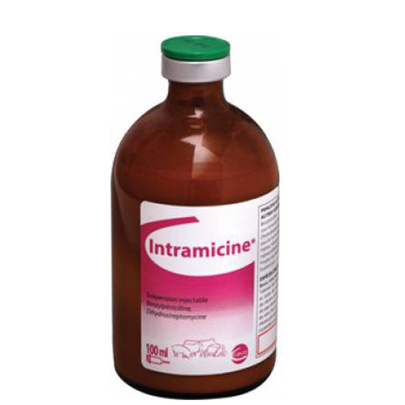 INTRAMICIN 100ML