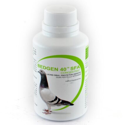 BEDGEN 40 SFA 100 ML