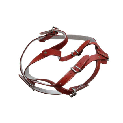 HAM PIELE PENTRU CAINI CU ORNAMENT NR.3 ROSU 64-72CM/16MM