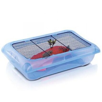 Bazin Testoasa Ninfea