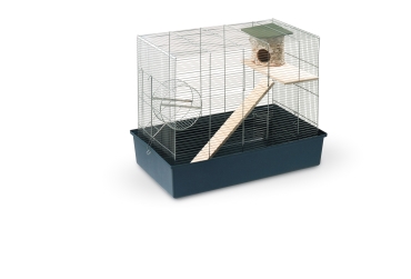 Colivie MaxiI Baldo 100 - FLAT