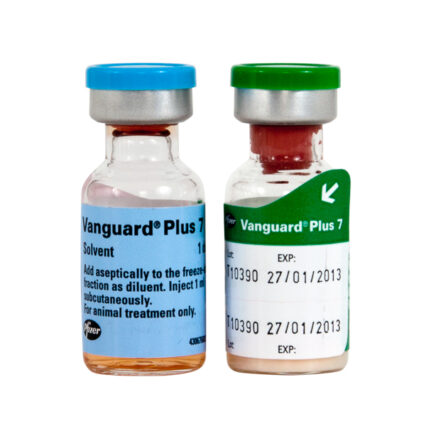 Vanguard Plus 7 1 dz