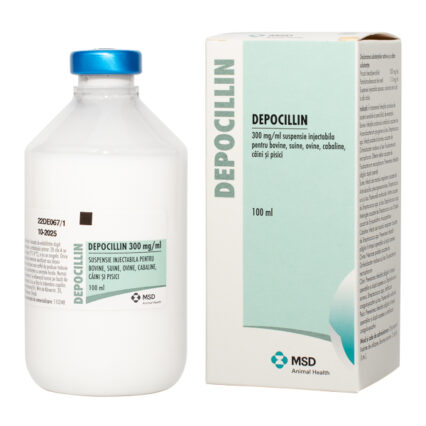 Depocillin 100 ml