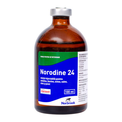 Norodine 24, 100 ml