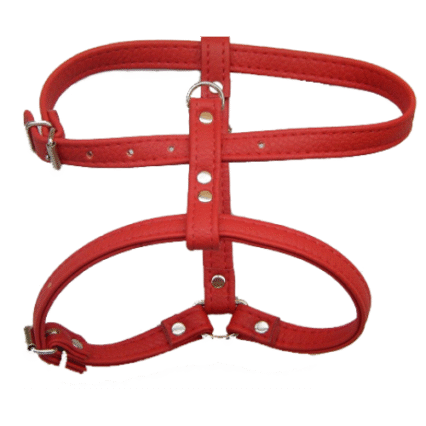 Ham Caini Enjoy Piele Eco 20 mm