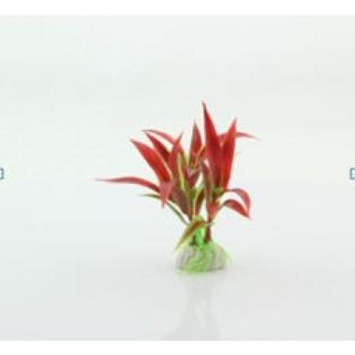 Decor pentru acvariu Planta Plastic Alternanthera Reineckii Mini 10cm
