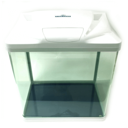 Acvariu din sticla Kingway White B-226 26X19X32 cm