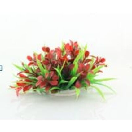 Planta decorativa pentru acvariu Cordyline 10cm