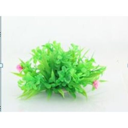 Planta decorativa pentru acvariu Cardamine Lyrata Enjoy 10cm