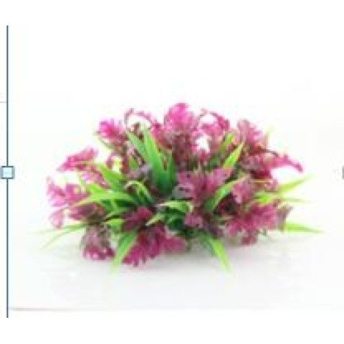 Planta decorativa pentru acvariu Nesaea Enjoy 10cm