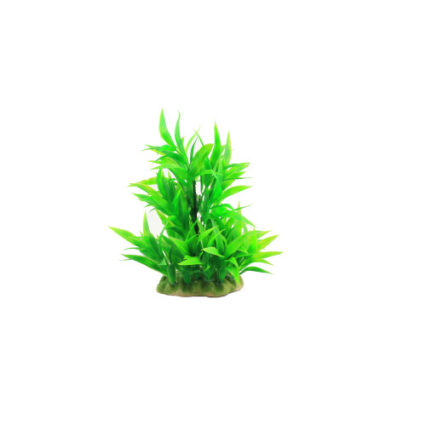 Planta decorativa pentru acvariu Microsorium 16cm