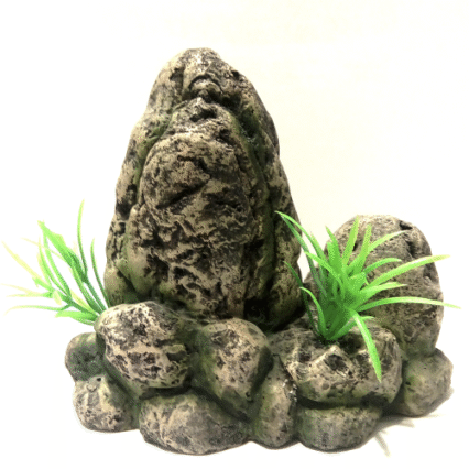 Decor Acvariu Enjoy Stanca 17.5X10.5X16 cm