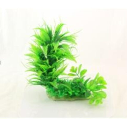 Planta decorativa pentru acvariu Ceratopteris & Hygrophila 23 cm